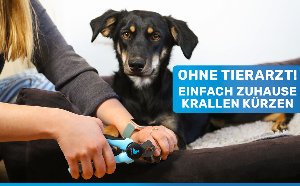 Ножиці для обрізання кігтів BluePet Profi Krallenschere для собак та котів - професійні, міцні, з напилком у ручці, для дрібних тварин, блакитні