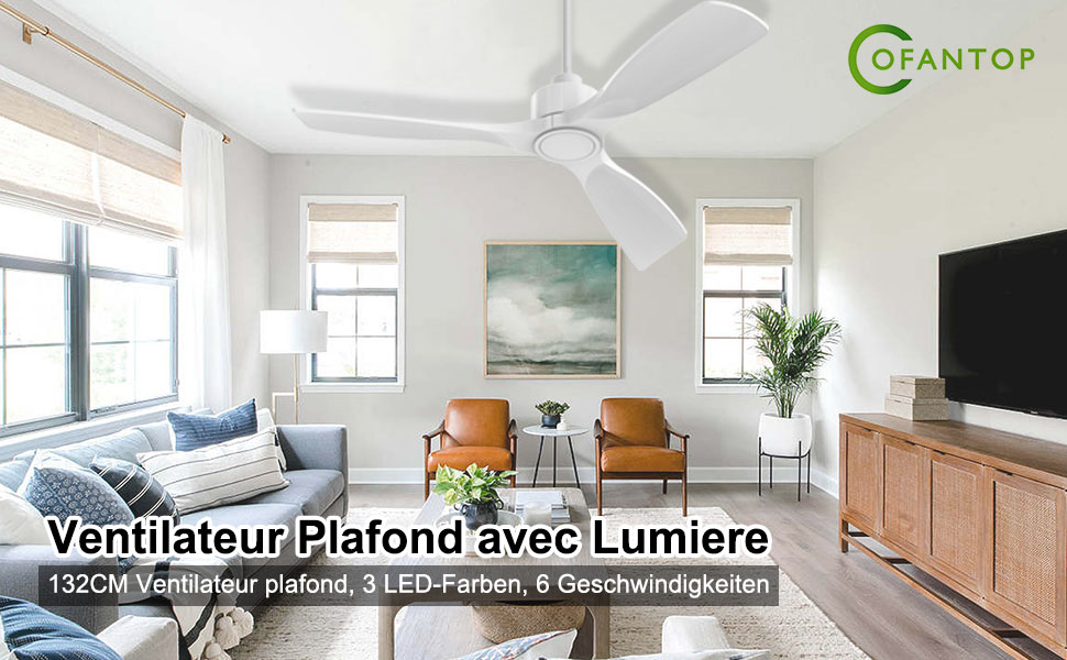 Сучасний стельовий вентилятор 132 см Zeitgemäß з LED-підсвічуванням та пультом керування, матовий білий колір, тихий DC-двигун, висока продуктивність, 6 швидкостей