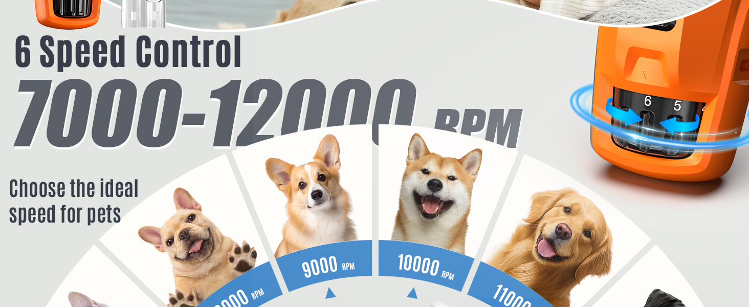 Електричний шліфувальник для собак та котів Casfuy Neue 6-Gang – тиха робота, 7 годин, 2 LED, для собак великих, середніх та малих порід
