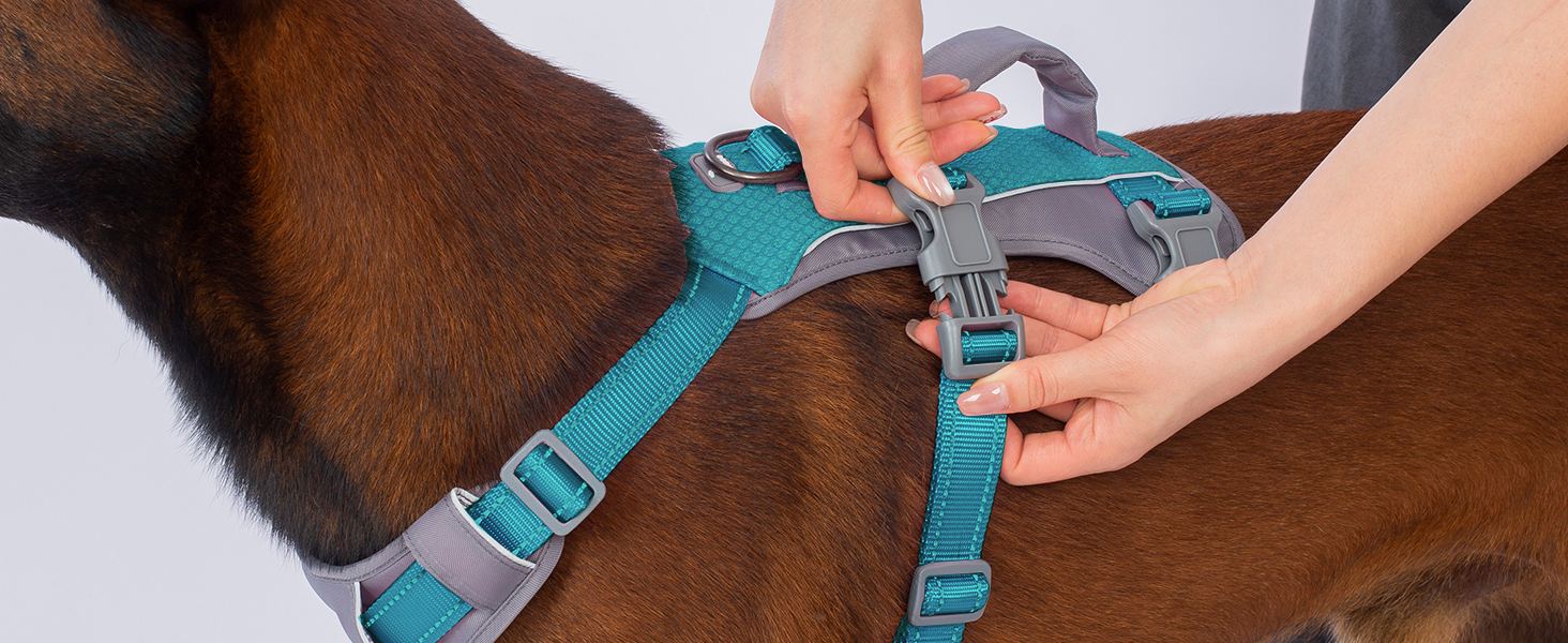 Шлейка безпеки Huntboo для собак, антизламна, від паніки, з ручкою, регульована, для малих, середніх та великих собак (M), блакитно-зелений (1 шт.)