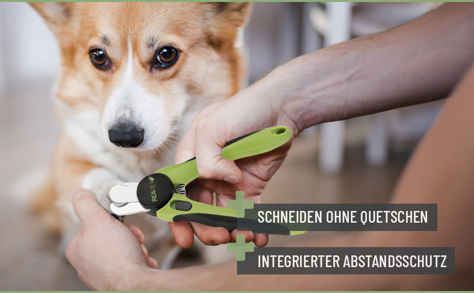 Ножиці ReaVET для обрізання кігтів собак та котів - з пилочкою та упором | Нержавіюча сталь | Інструмент для догляду за кігтями