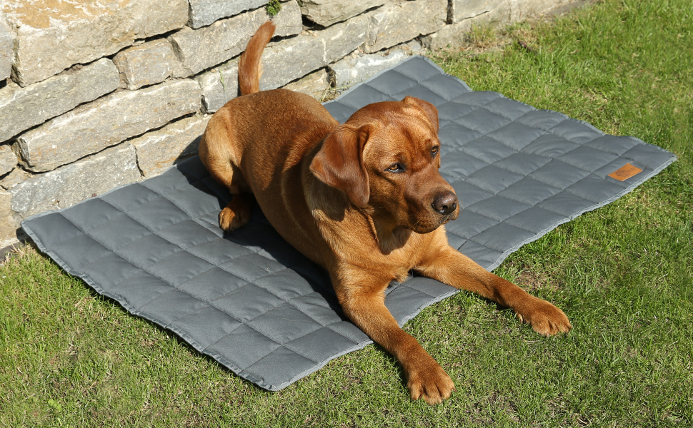 Килимок для собак Your Gear 120x80 см з органічної бавовни Oeko-Tex | Ортопедичний лежак для великих собак, водовідштовхуючий, миючий та стійкий до подряпин. Підходить для дому та вулиці