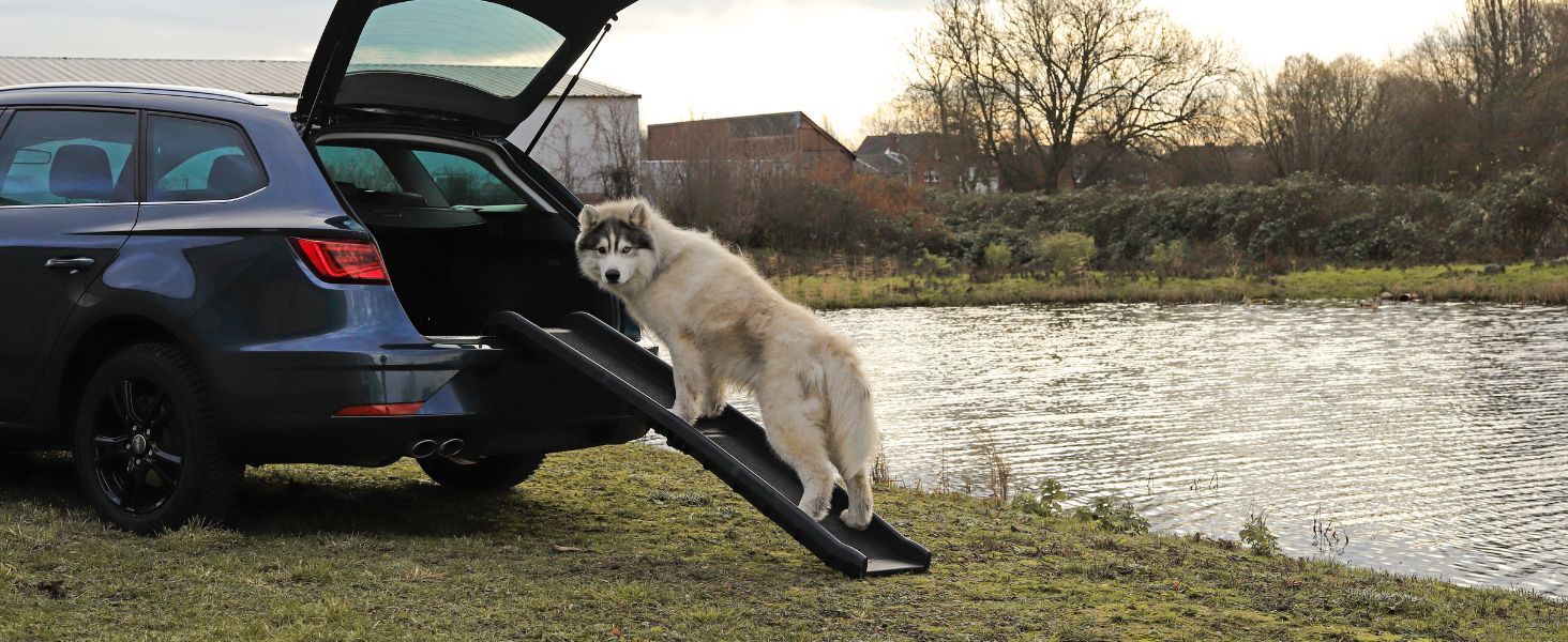 Рампа для собак Lionto до 90 кг, чорна, 156x40 см - навантажувальні бортики багажника, з антиковзким покриттям, для здоров'я суглобів