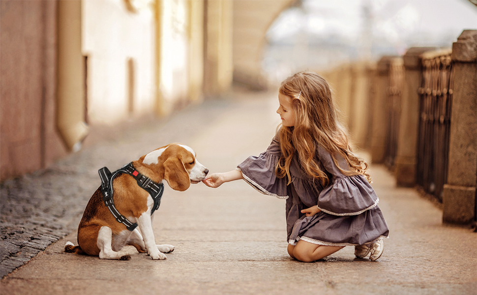 Шлейка для собак PoyPet Front Reflektive з ручкою для контролю та світловідбиваючими елементами, чорна, розмір S