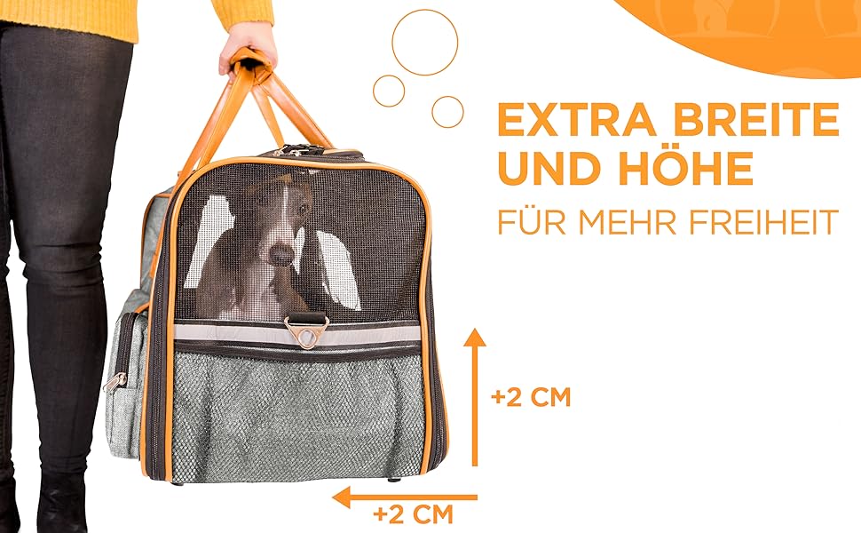 Транспортна переноска для кота Transportbox Katze - Складана та миюча переноска для котів - Сумка для подорожей та транспортування котів - З надійною фіксацією та комфортом - Сіра, розмір M (44x43x32 см)