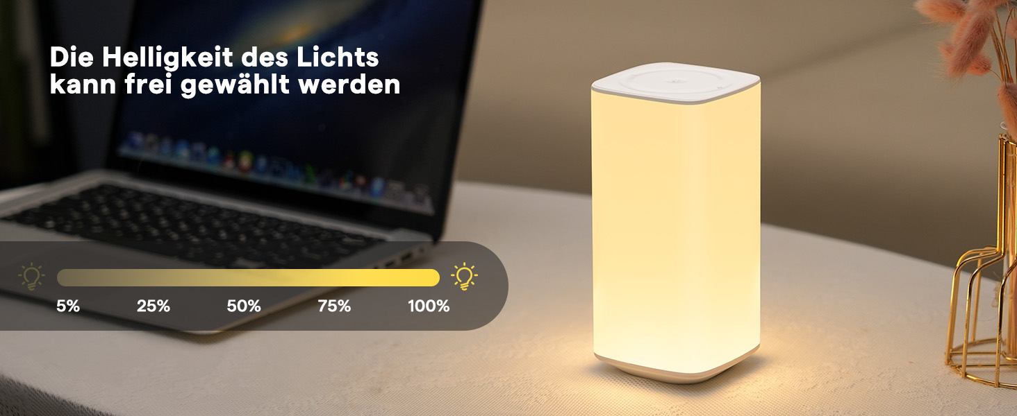 Нічна лампа торшера Touch Dimmable, з пультом дистанційного керування LED, на батарейках, 256 кольорів, 3 режими, нічник, для дітей, створення атмосфери, настільна лампа, таймер для спальні, вітальні, біла