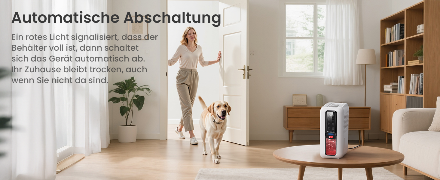 Електричний осушувач повітря з 2L резервуаром для води, автоматичне вимкнення та регулювання вологості, для ванної кімнати, спальні, шафи (білий)