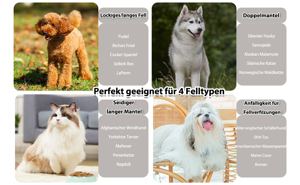 Гребінець для собак та котів Slicker з дерев'яною ручкою та довгими нержавіючими шпильками - видаляє підшерсток, ковтуни та заплутування - з гребінцем для догляду - для Golden Retriever та Maine Coon - фіолетовий, великий