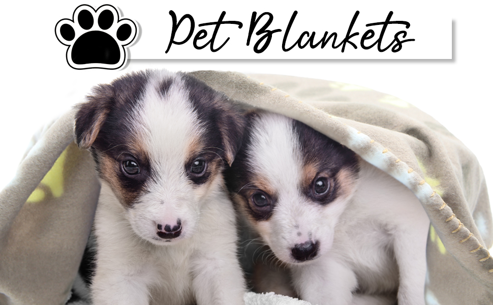 6 м'яких флісових пелюшок для собак, котів, тварин (60 x 70 см)