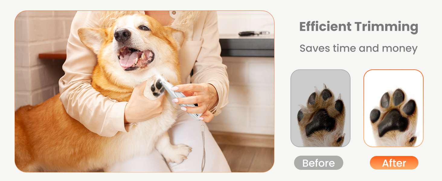 Триммер для собак Pfotentrimmer Paw Trim Pro: тиха, акумуляторна машинка для догляду за лапами, вухами та обличчям