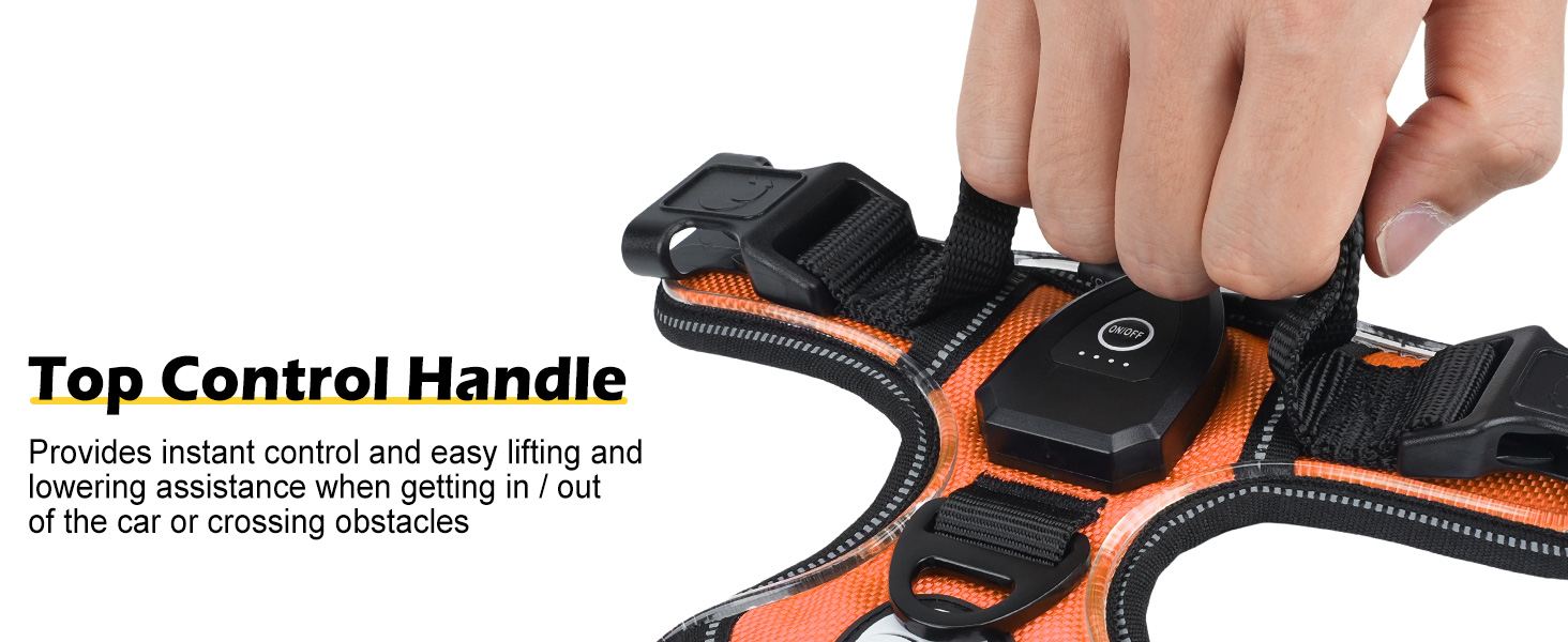 Світловідбиваючий нашийник для собак Joytale з підзарядкою, без натягування, з ручкою, для нічних прогулянок, чорно-синій, M (XL, 1 шт.), помаранчевий