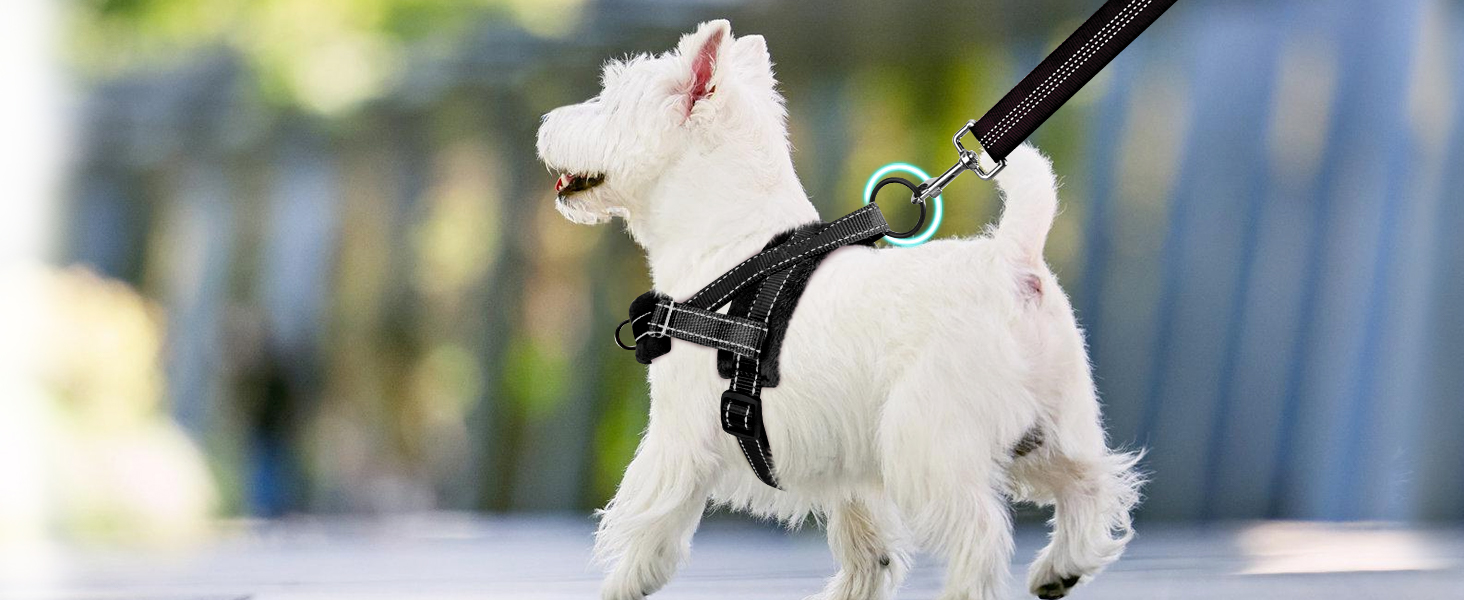 Шлейка для собак середнього та малого розміру з повідком, м'яка, не тягне, чорна, розмір S