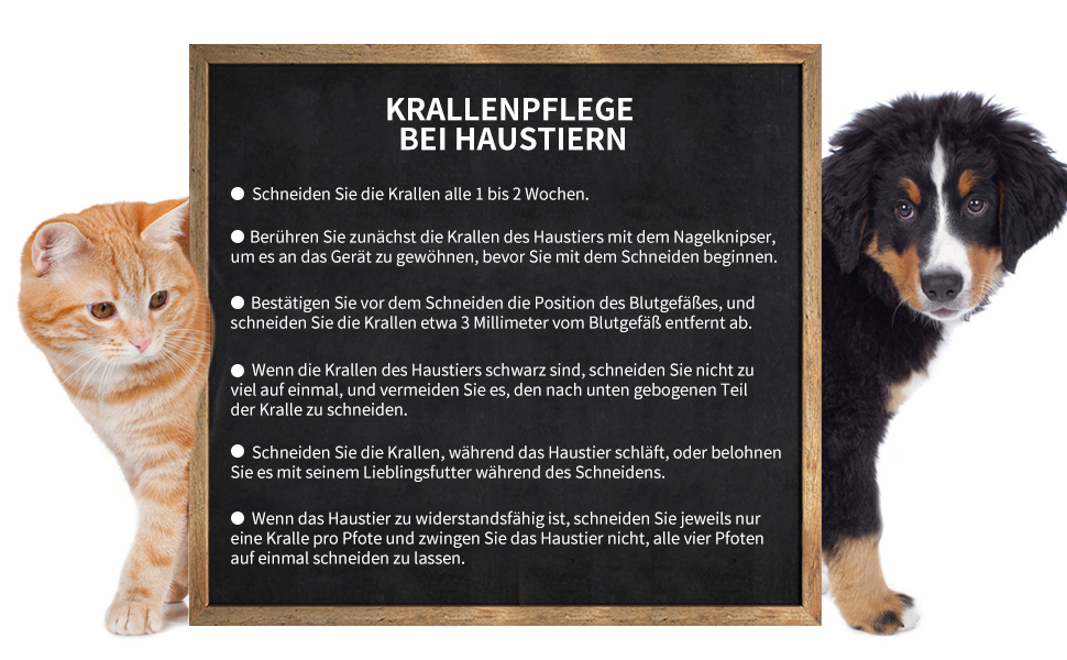 Професійні ножиці для стрижки кігтів собак та котів з нержавіючої сталі та пилочкою. Підходять для всіх порід (маленьких, середніх, великих). Безпечний захист від защемлення.