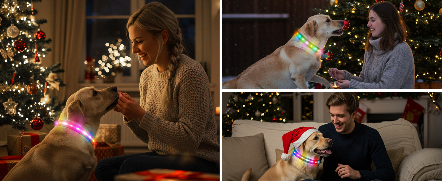 Світлодіодне нашийник для собак Feycig - USB, водонепроникний, 3 режими, регульований, для малих, середніх та великих собак (Рожевий, L(48-60см))