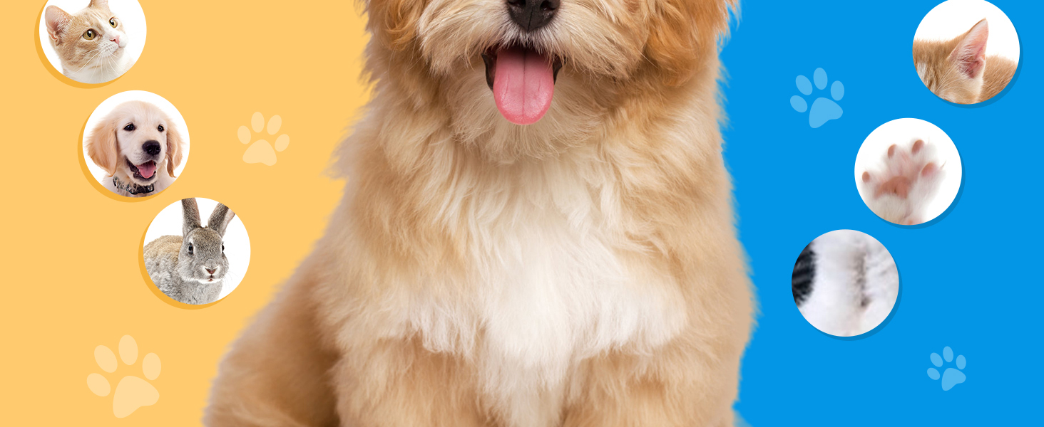 Машинка для стрижки собак та котів 2-в-1 Brifit, тример для подушечок лап, тиха, водонепроникна IPX7, професійна для тіла, лап, очей, вух, обличчя