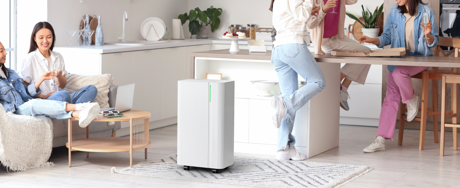 EUHOMY Електричний осушувач повітря 12л/24г, тихий та енергоефективний, з відведенням води, автоматичним розморожуванням, 3 режими, для квартири 25м²/122м³, спальні, підвалу