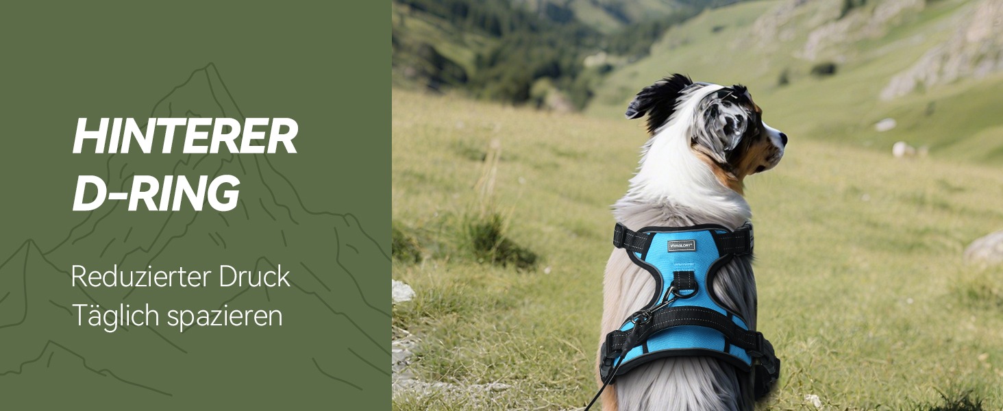 Шлейка для собак VIVAGLORY Easefit, анти-тяга, з ручкою, для тренувань та прогулянок, з м'якою підкладкою, не тягне, захист від вислизання, чорна, M (51-74 см обхват грудної клітки)