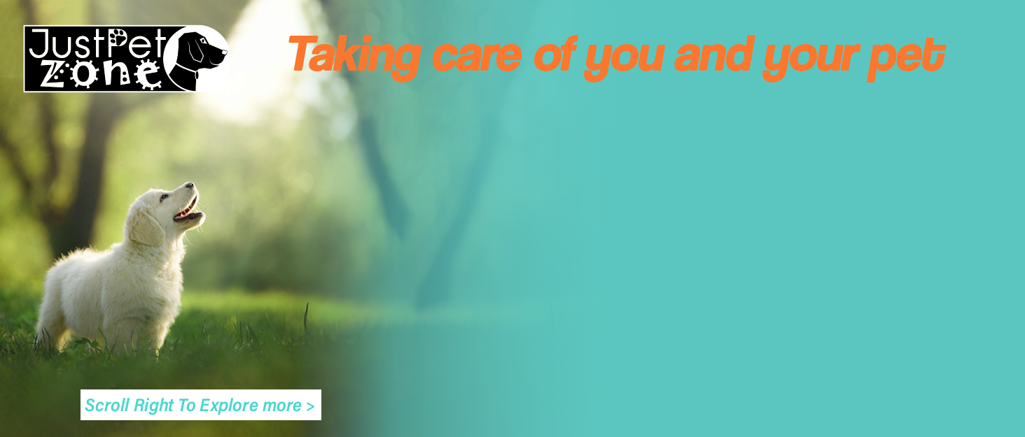 Авторемні для собак, регульовані та міцні авторемні для собак UK – міцний нейлоновий авторемні для собак з еластичним буфером та рожевим кольором