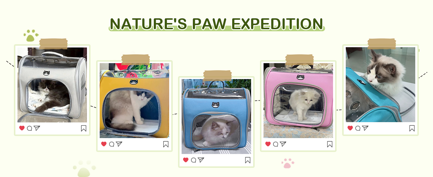 Рюкзак для котів та маленьких собак ALLSOPETS, дихаючий, з фронтальною відкривачкою та страхувальним ремінцем, для подорожей, прогулянок та хайкінгу (Квітково-рожевий)