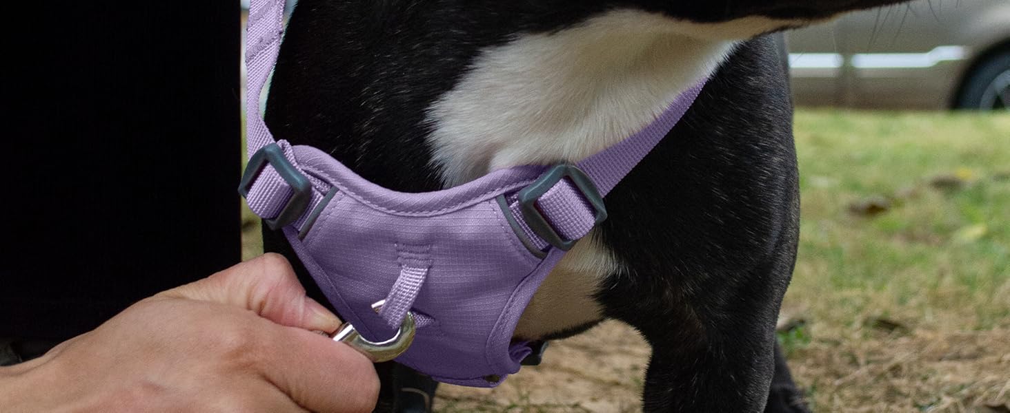 Нашийник для собак з повідком, безпечний нашийник від виривання, анти-тяга, нашийник для собак з ручкою та світловідбиваючими елементами, легкий, регульований, для середніх собак (XS) (Дуже маленький, фіолетовий)