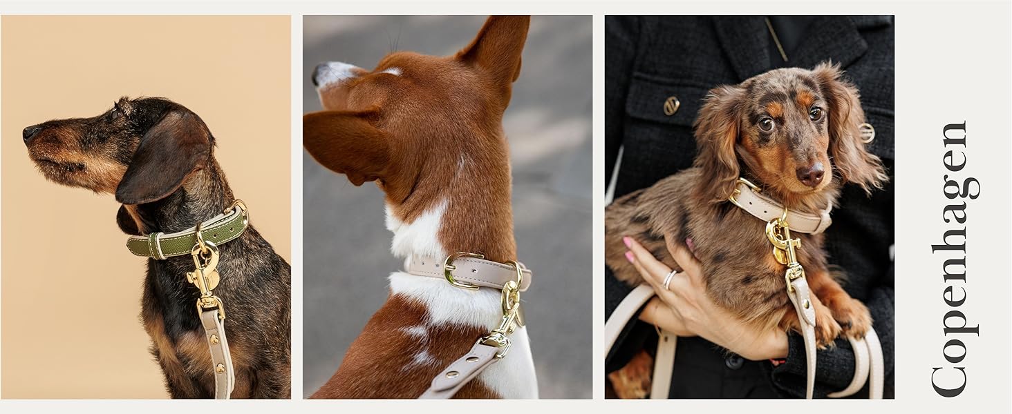 Нашийник для собак Nina Woof Milan з веганської шкіри, м'який, регульований, з крокодиловим тисненням, фіолетовий, розмір M, обхват шиї 38–48 см