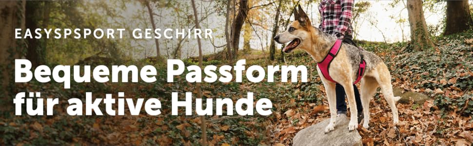 Шлейка для собак PetSafe EasySport, повністю з м'якою підкладкою, для собак вагою 9-16,5 кг, розмір S, блакитна