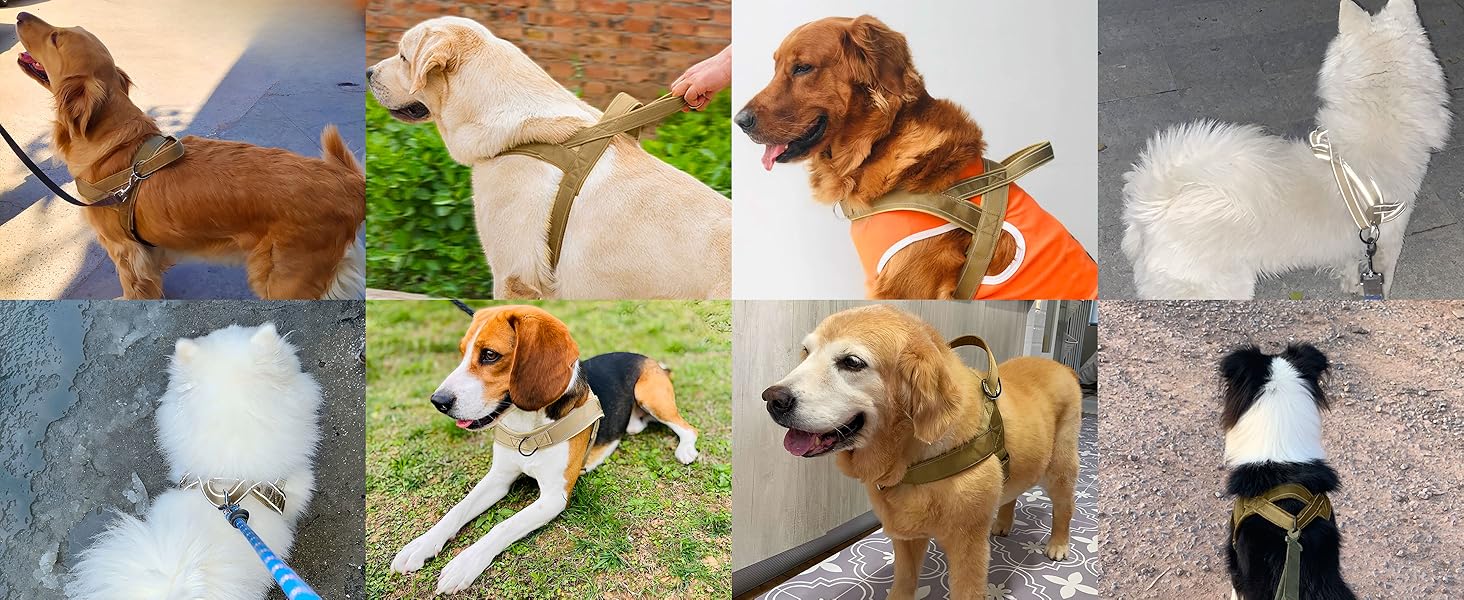 Шлейка для собак, анти-тяга, світловідбиваюча, для середніх та великих собак, регульована, м'яка, дихаюча, для прогулянок та бігу (L), Style2-M