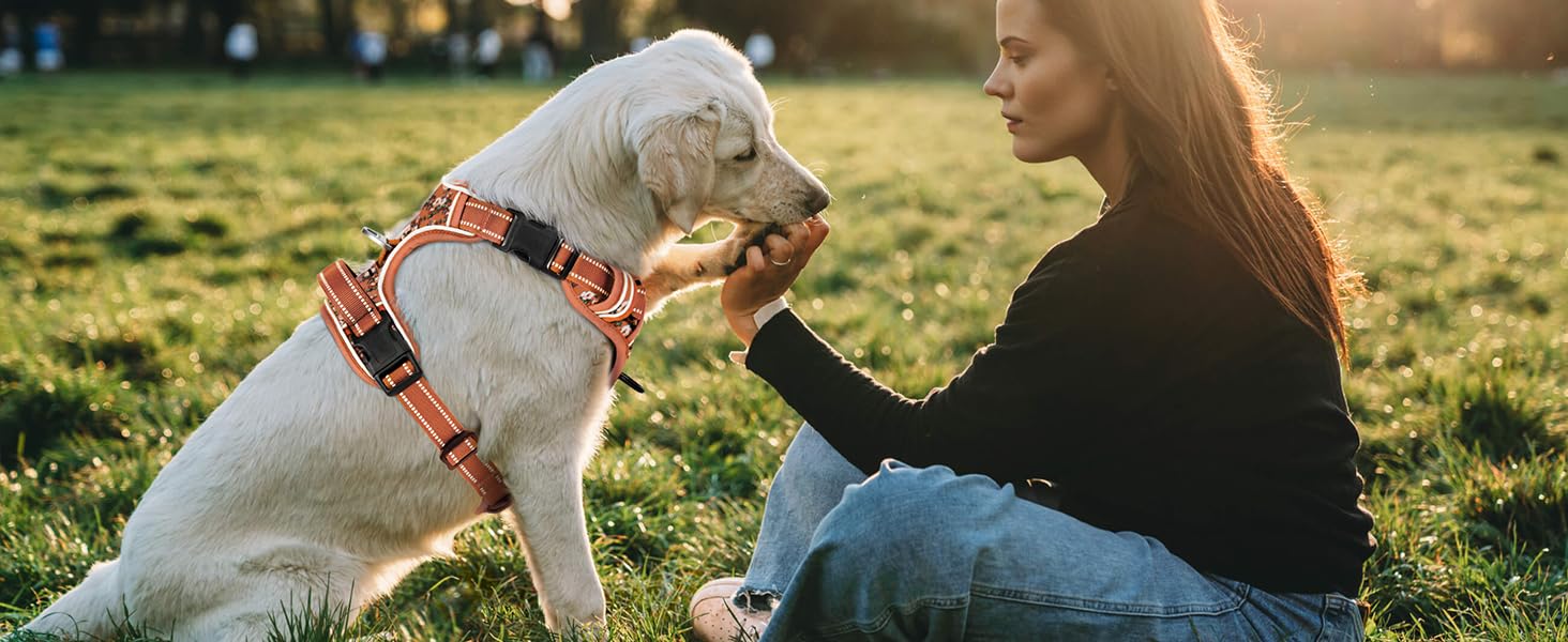 Шлейка для собак HEELE з поглинанням ривка, світловідбиваюча, для середніх собак, з м'яким ручним захопленням, коричнева, розмір M (L - обхват грудей: 43-86 см)