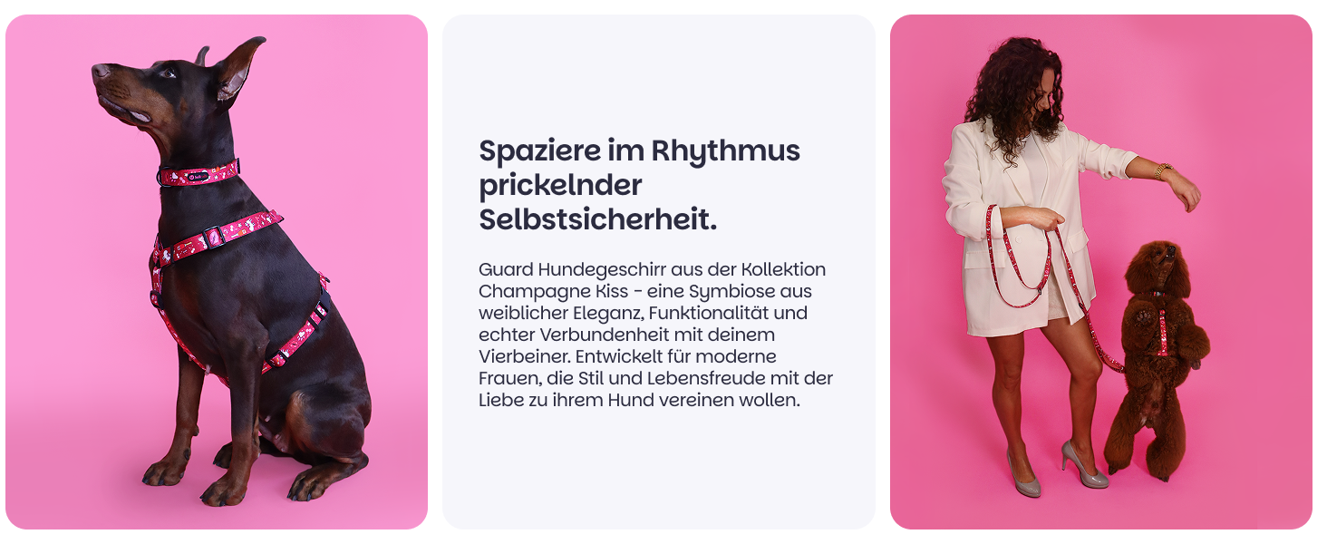 Шлейка для собак середніх порід Champagne Kiss M: регульована, не вбирає вологу, з контролем, легка