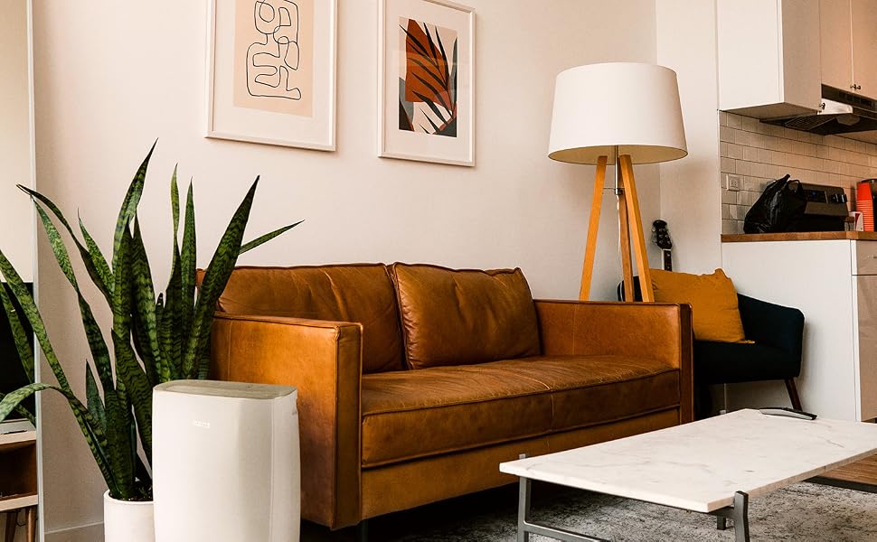 Осушувач повітря CREATE Luftentfeuchter XL SPIRAL для приміщень до 90 м², 10 л, 380 Вт, з LED-дисплеєм та системою безпеки (Чорний)
