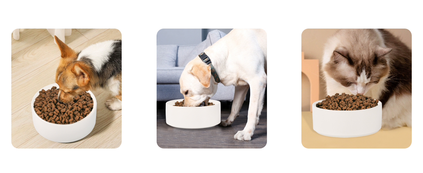 Керамічна миска для собак середніх та великих порід - важка, глибока миска для корму або води - 1800 мл - біла. Миски для собак великих порід