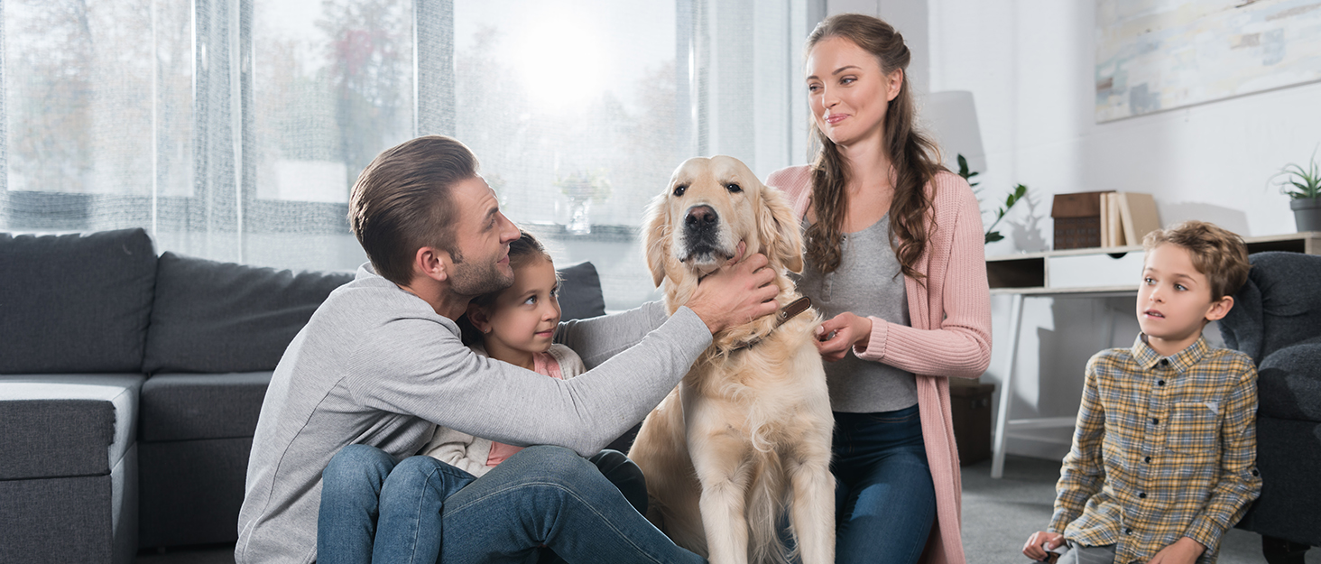 Електричний гоління для чоловіків Sejoy з 4D головкою, бездротовий, для мокрого та сухого гоління, потужний мотор