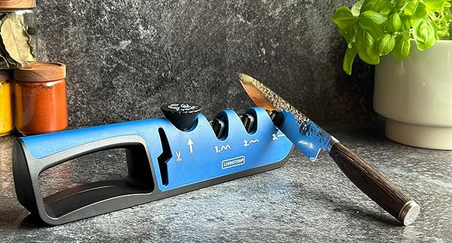 Набір Livington Blade Star - професійна точилка для ножів з регулюванням кута, ергономічна ручка, 2 шт.