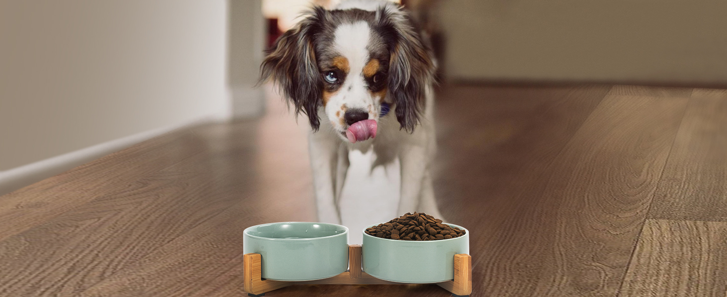 Набір мисок для котів та собак SPUNKYJUNKY з бамбукового підставки (400мл, Бежевий)