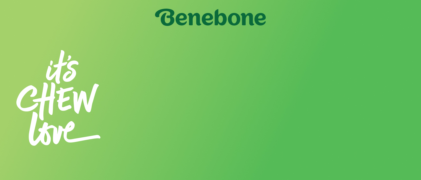 Набір іграшок Benebone для собак-гризунів, міцні кістки та палички з ароматом, для агресивних маленьких собак, подарункова коробка