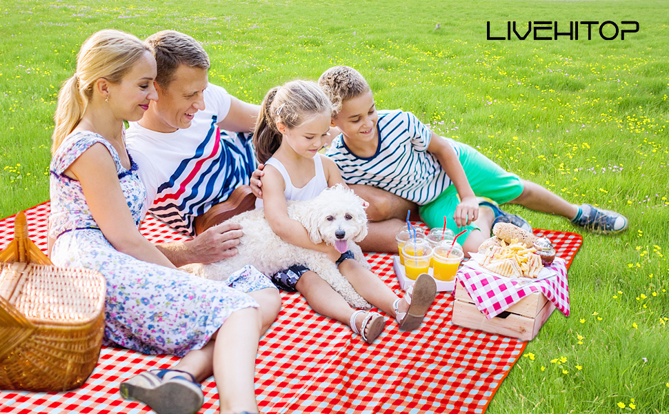 Плед для пікніка LIVEHITOP водонепроникний XXL, великий пляжний плед, складаний килимок для пікніка з ручкою для транспортування, для кемпінгу, парку, барбекю (150 x 200 см, червоно-клітинчастий)