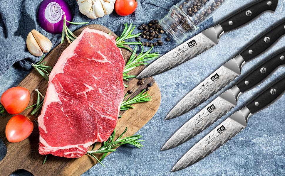 Японський кухонний ніж SHAN ZU Damast, 67-шарів, з нержавіючої сталі AUS10, професійний шеф-ніж з ручкою G10, подарункова коробка (набір столових ножів на 4 персони)