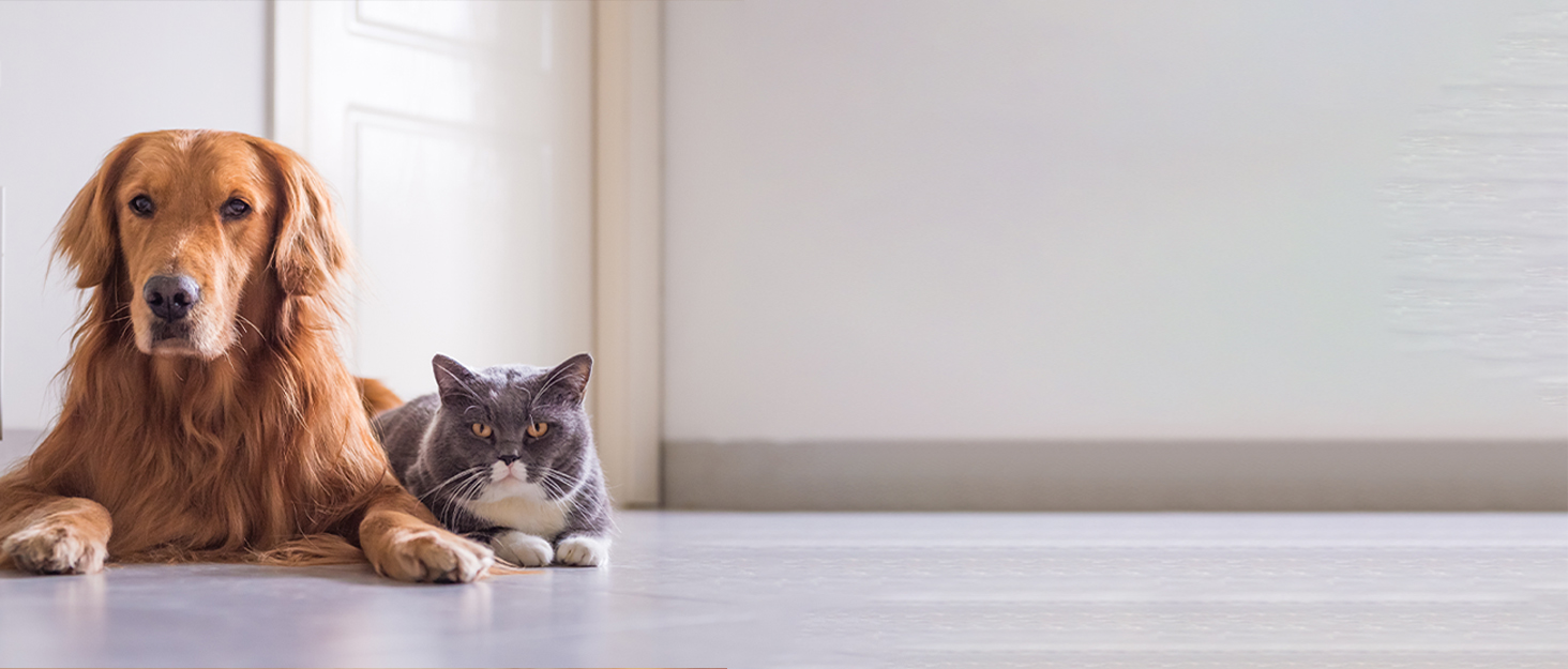 Автоматична поїлка для собак у клітку, 480мл, антиперелив, фонтанчик для собак, котів та кроликів (сірий)