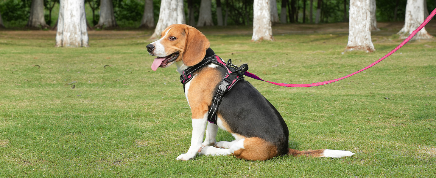 Світловідбиваючий нашийник для собак Joytale з LED, для середніх собак, не тягне, з ручкою, регульований, для нічних прогулянок, рожевий, розмір M (1 шт.)