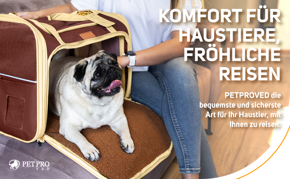 Транспортна переноска для кота та собаки, сумка-переноска для маленьких собак та котів, коричнева, 51 x 36 x 33 см