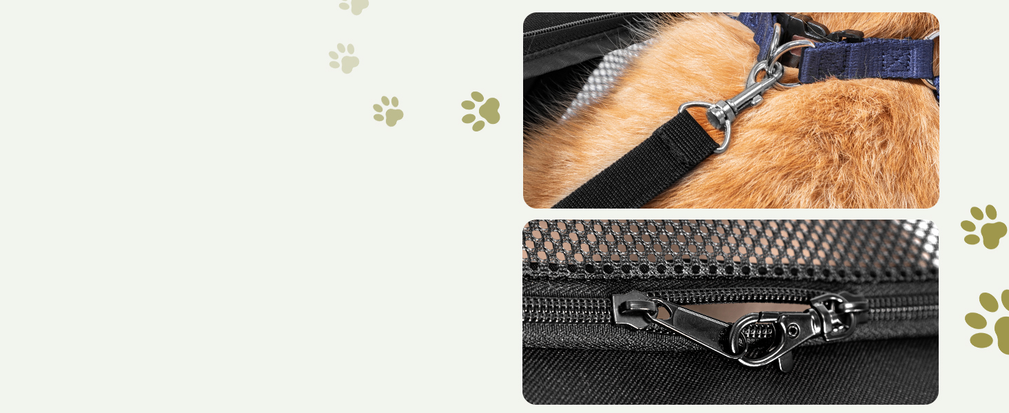 Транспортна переноска для кота та маленького собаки Petsfit, чорна, середнього розміру, з м'яким килимком та патентованими застібками