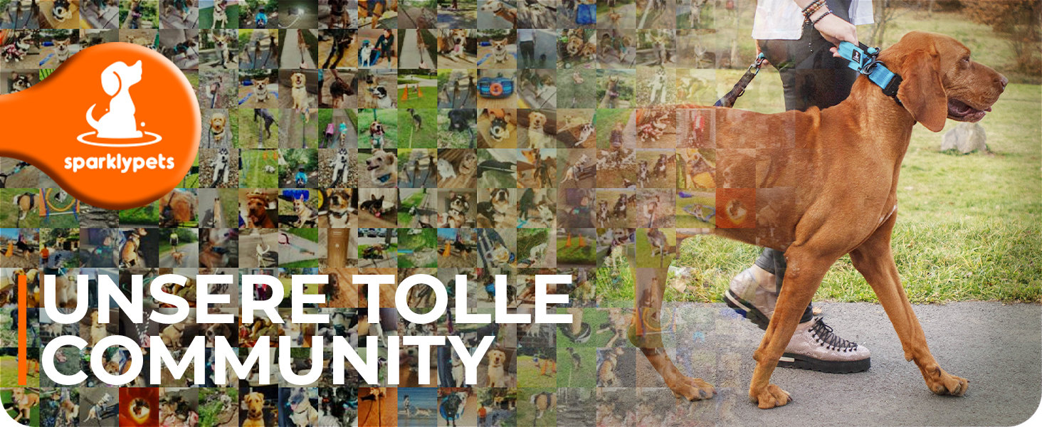 Спортивна повідка на талію для собак SparklyPets - Безпечна повідка для прогулянок для середніх та великих порід - Комплект з тримачем для телефону, змінним контейнером для відходів тварин, кишенькою для ласощів та тримачем для пляшки