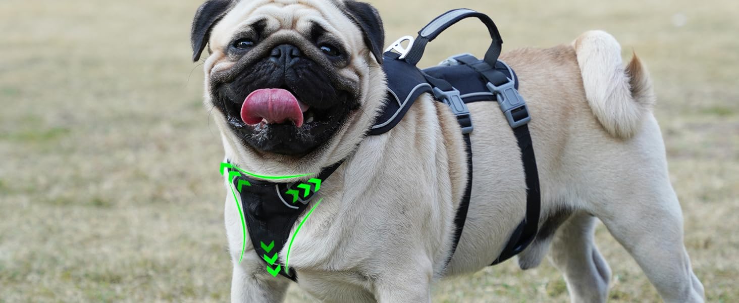 Нашийник для собак з повідком, безпечний нашийник від виривання, анти-тяговий нашийник з ручкою та світловідбиваючими елементами, легкий, регульований нашийник для середніх собак (Чорний, XS). Дуже маленький, чорний