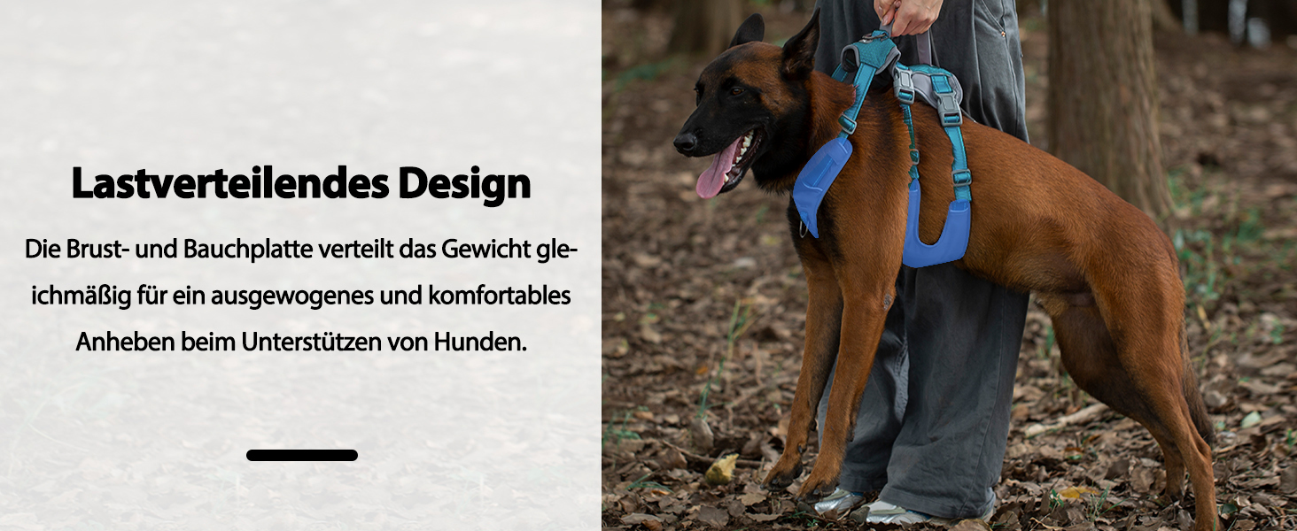 Шлейка безпеки Huntboo для собак, антизламна, від паніки, з ручкою, регульована, для малих, середніх та великих собак (M), блакитно-зелений (1 шт.)