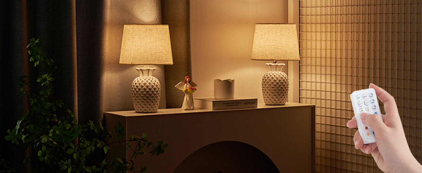 LED-лампа Egobasic на акумуляторі з пультом, таймером та регулюванням яскравості, змінне підсвічування, керамічна основа у вигляді ананаса, для спальні, кухні, вітальні