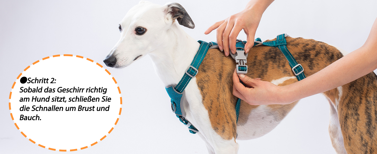 Шлейка Huntboo для собак: безпечна від виривання, антистресова, з відбиваючими елементами, регульована, легка (розмір S, блакитна)