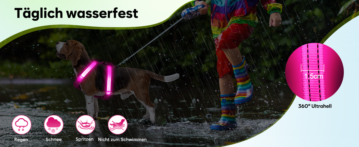 Світловідбиваючий LED нашийник для собак, USB-C, для маленьких собак, XS-S, для прогулянок вночі