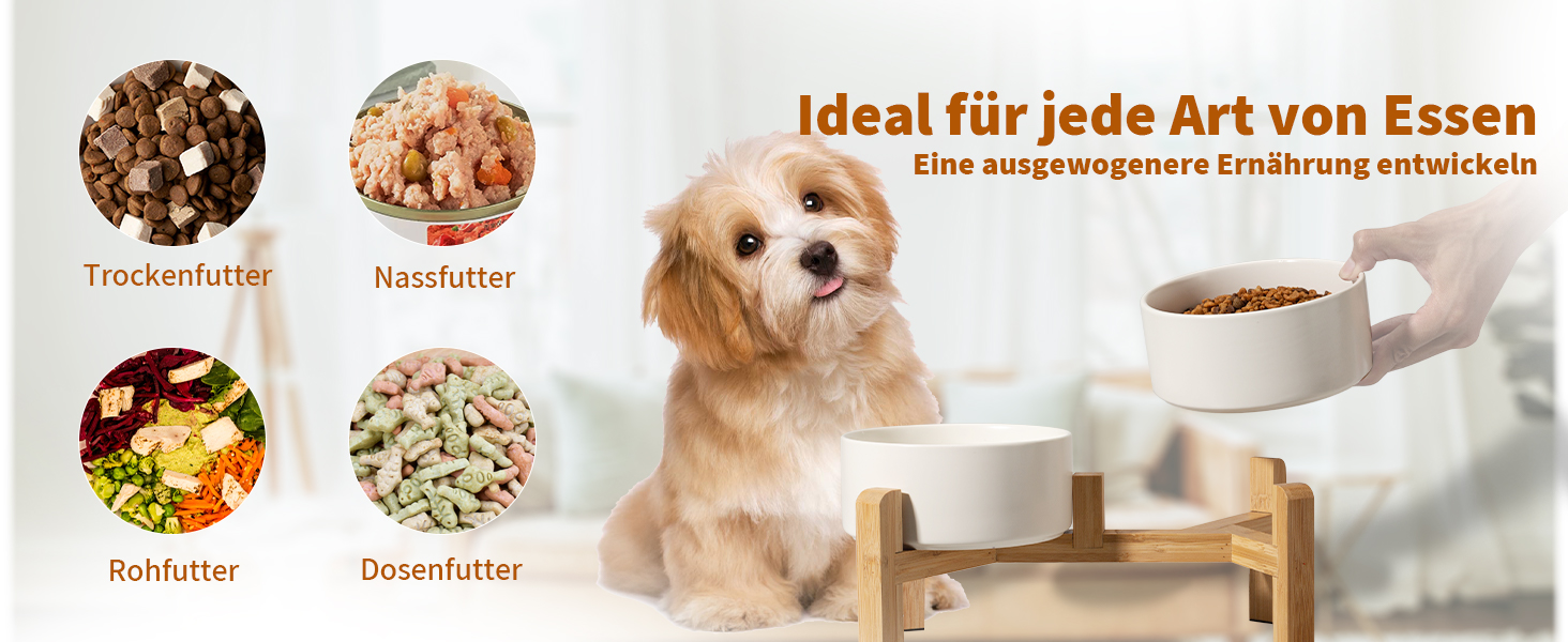 Elevated Dog Bowl Set - Ceramic Double Bowls with Non-Slip Stand - 2 Pack, 850ml Each - Ideal for Small & Medium Dogs