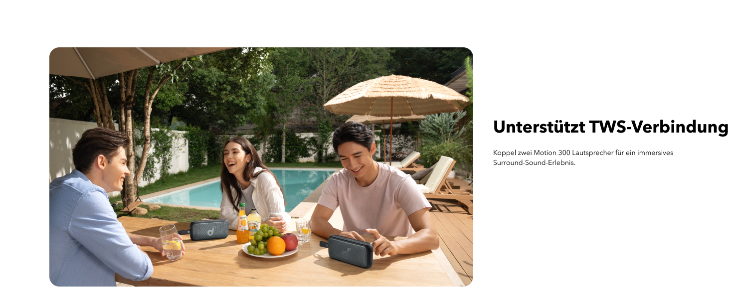 Soundcore Motion 300 - Бездроковий портативний Bluetooth-динамік з BassUp, SmartTune, 30W, 13h, IPX7, для дому, саду, кемпінгу та подорожей, Чорний
