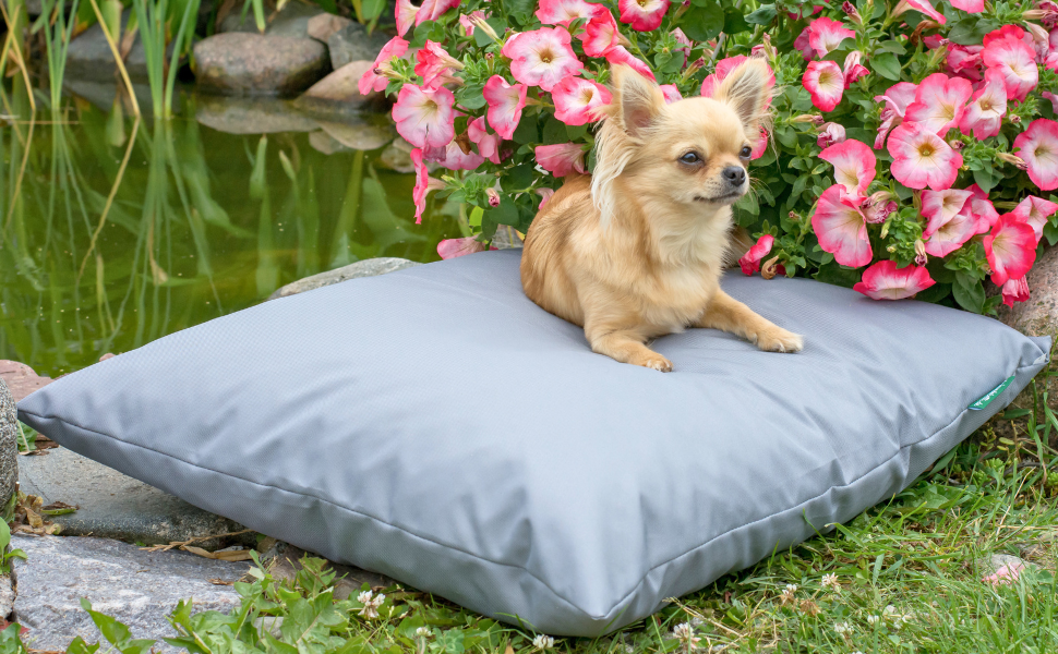 Водонепроникне собаче ліжко 80x60 см, темно-зелене, 4L Textil ZOE